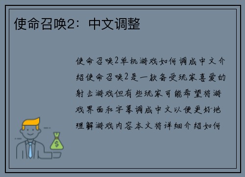 使命召唤2：中文调整