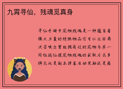 九霄寻仙，残魂觅真身